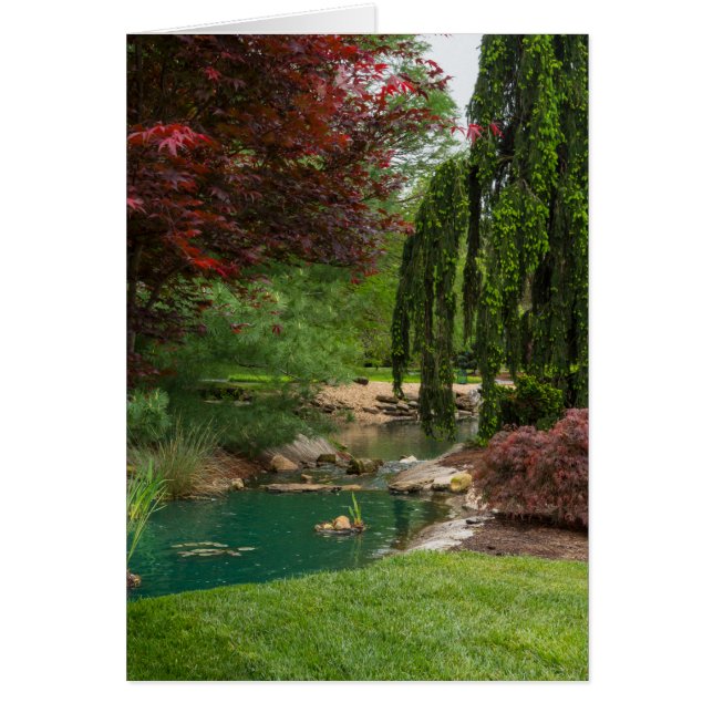 Jardin paisible (Devant)