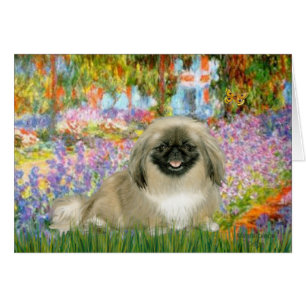 Jardin - Pekingese 1b