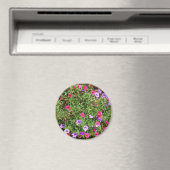 Jardin Petunia Magnet (In Situ (Lave-vaisselle))