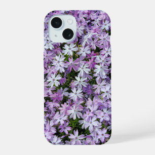 Jardin Purple Phlox