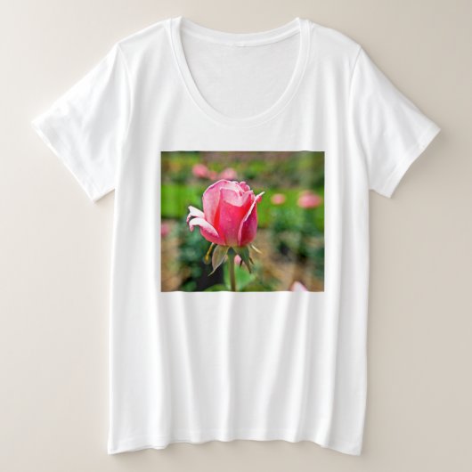 Jardin rose rose (Design devant)