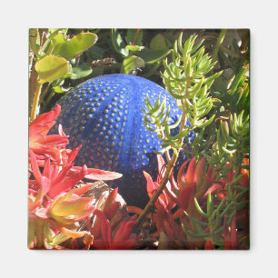 Jardin sous-marin de Plante avec aimant d'orbe