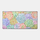 Jardin Succulent coloré Aquarelle Pastel (Recto)