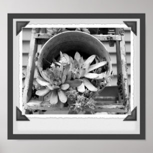 Jardin Succulents Noir et Blanc Impression