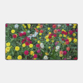 Jardin Zinnia coloré Floral (Recto)