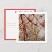 Jardinage Carte de visite Roses sauvages (Devant / Derrière)