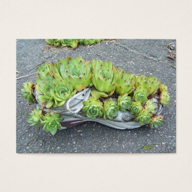 Jardinage des conteneurs ~ ATC (Devant)