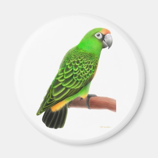 Jardines Parrot Magnet Magneet (Voorkant)
