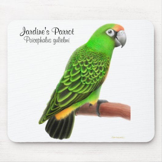 Jardine's Parrot Mousepad Muismat (Voorkant)
