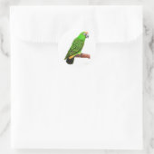 Jardines Parrot Sticker (Tas)