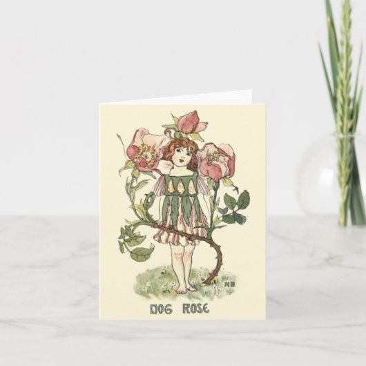 Jardiniers à fleurs pliés (Devant)