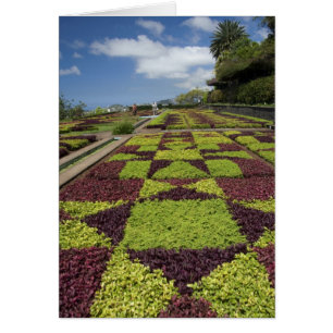 Jardins botaniques, Funchal, îles de Madère,