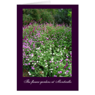 Jardins d'agrément de Monticello