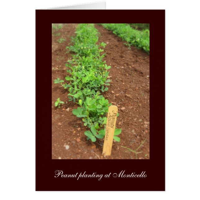 Jardins de légumes de Monticello (Devant)