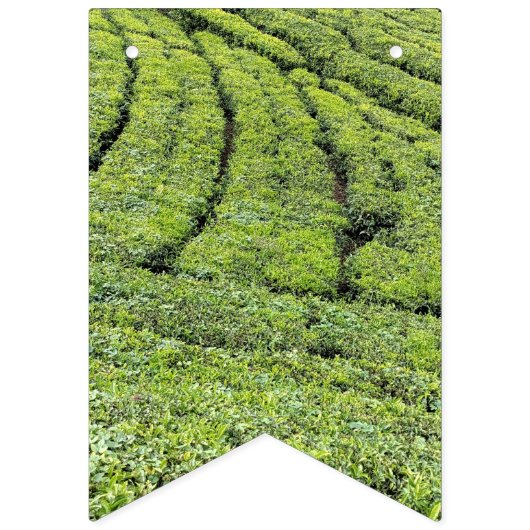 Jardins de thé de Munnar sur drapeaux de bunting (Premier drapeau)