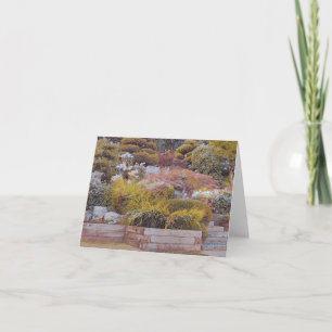Jardins magnifiques - Carte blanche