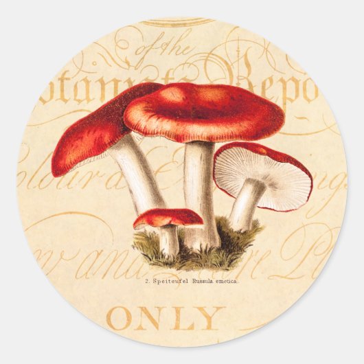  jaren 1800 Paddestoel Rode Paddestoelen Sjabloon Ronde Sticker (Voorkant)