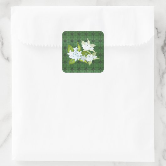 Jasmijn bloemen aanpasbare naam vierkante sticker (Tas)