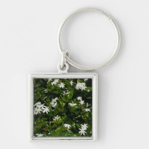 Jasmijn Bloemen Tropische Bloem Botanisch Sleutelhanger