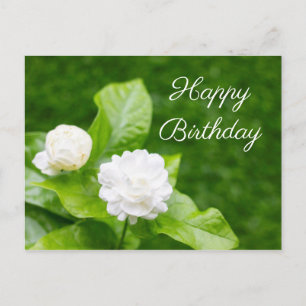 Jasmijnbloemen staan op een groene verjaardagskaar briefkaart