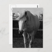 Jasmine Briefkaart (Voorkant / Achterkant)