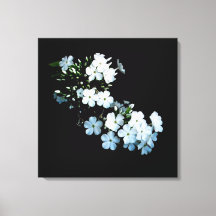 'Jasmine Detail' Canvasprint met Wikkelrand
