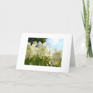 Jasmine Flower Note Kaart