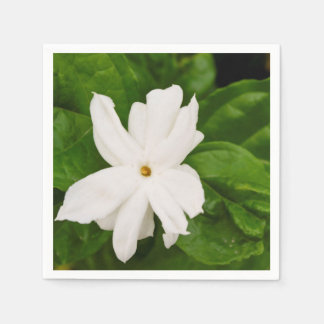 Jasmine Flower Servet