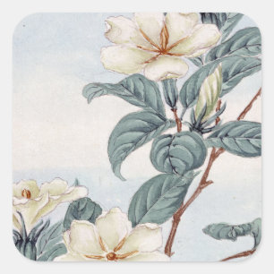 Jasmine Flowers ( Japanse kunst) Vierkante Sticker