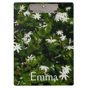 Jasmine Flowers Tropical Floral Botanical Klembord