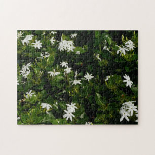 Jasmine Flowers Tropical Floral Botanical Legpuzzel