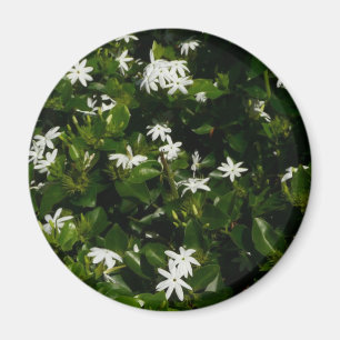 Jasmine Flowers Tropical Floral Botanical Magneet