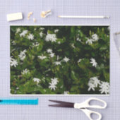 Jasmine Flowers Tropical Floral Botanical Tissuepapier (Craft)