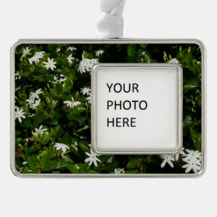 Jasmine Flowers Tropical Floral Botanical Verzilverd Kader Ornament