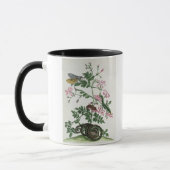 Jasmine: met slang, mot, caterpiller en chrysal mok (Links)