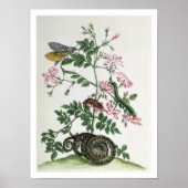 Jasmine: met slang, mot, caterpiller en chrysal poster (Voorkant)