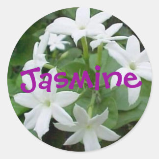 Jasmine Ronde Sticker