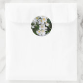 Jasmine Ronde Sticker (Tas)