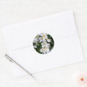 Jasmine Ronde Sticker (Envelop)