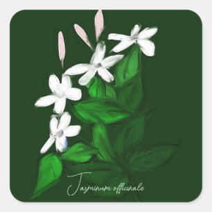 Jasmine Vierkante Sticker