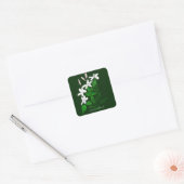 Jasmine Vierkante Sticker (Envelop)
