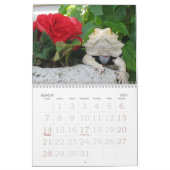 Jasper 2009-kalender kalender (Mar 2027)