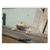 Jasper 2009-kalender kalender (Hoes)