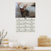 Jasper Chaton Bâillant Calendrier 2011 Affiche (Cuisine)
