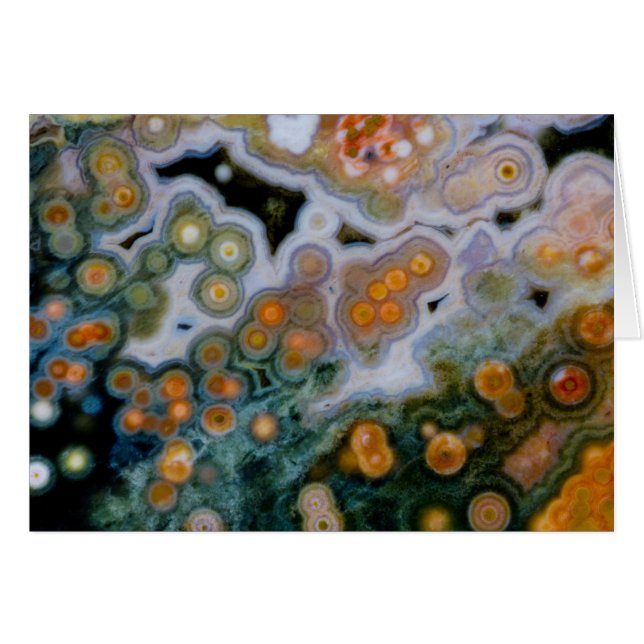 Jasper de l'océan (Devant horizontal)