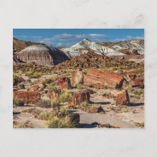 Jasper Forest Briefkaart