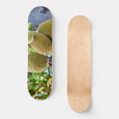 jasvruchten skateboard (Voorkant)