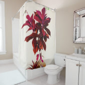 Jatropha-Plant in het diepe rood Douchegordijn (In situ)