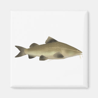 Jaú Catfish Magneet