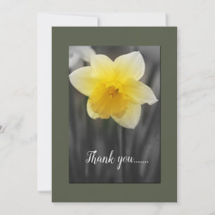 Jaune Daffodique Carte de remerciements plat